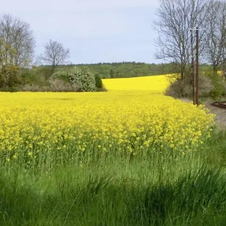 Boddenblick Lauterbach Ruegen