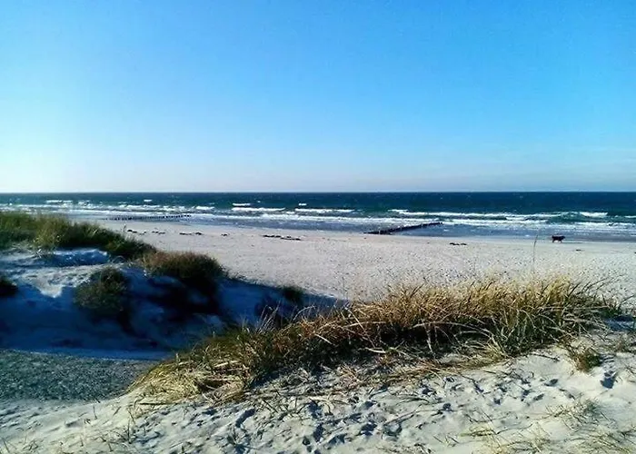 Boddenblick Lauterbach Ruegen * Lauterbach (Rugen)