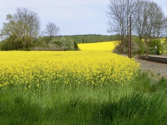 Boddenblick Lauterbach Ruegen